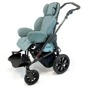 Hoggi Bingo Evolution